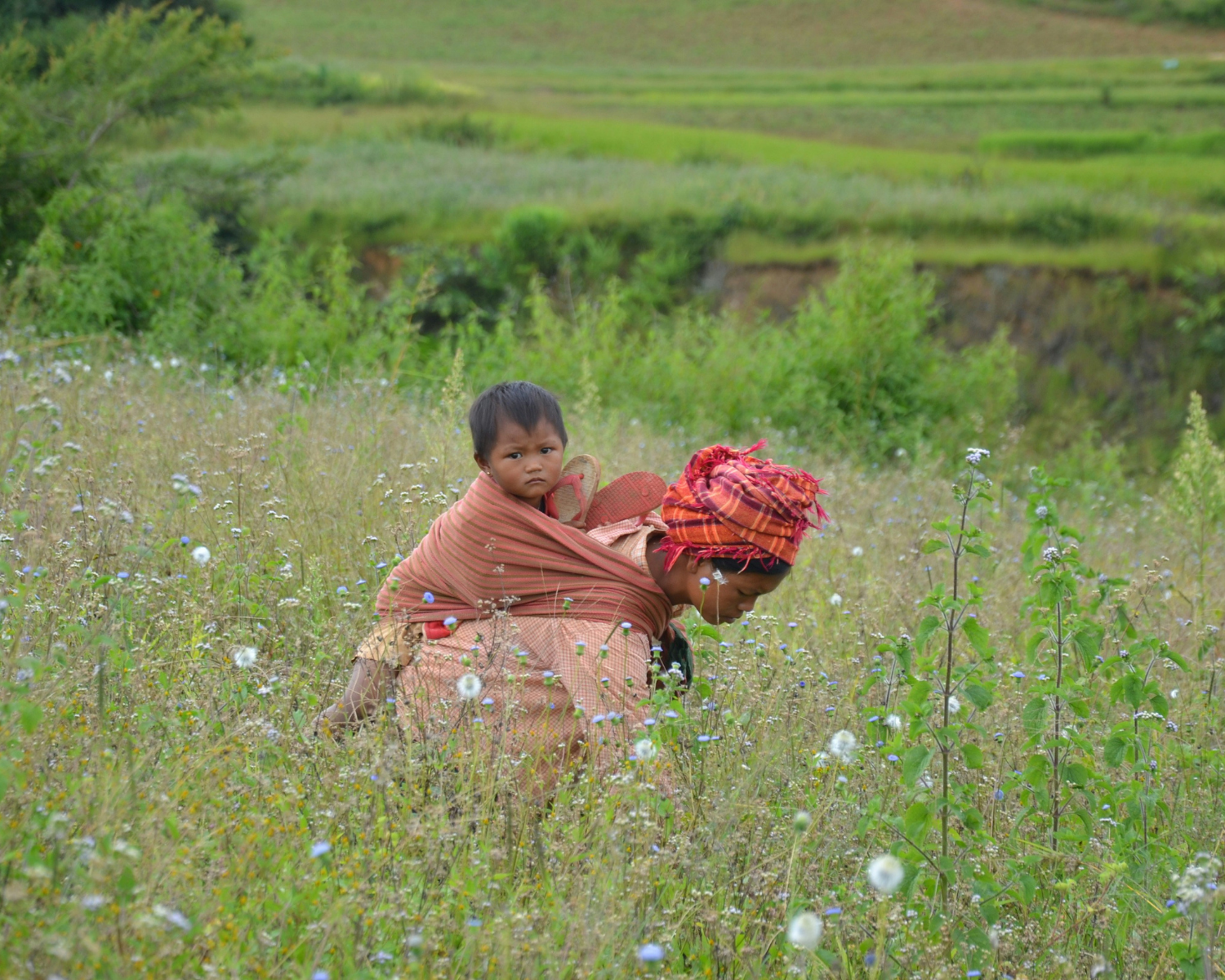 Praying for the People of Myanmar