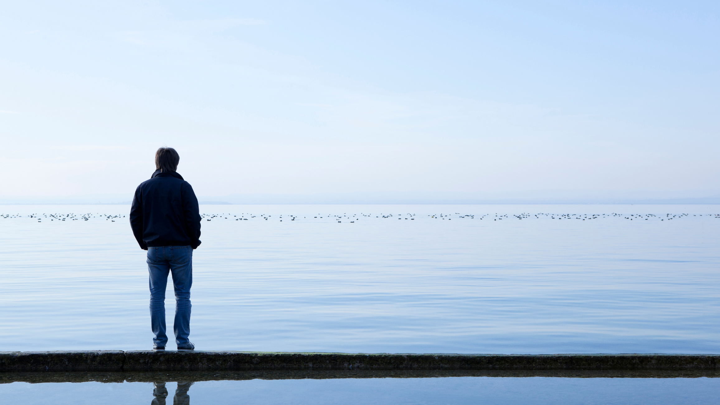 Let's Dream Together