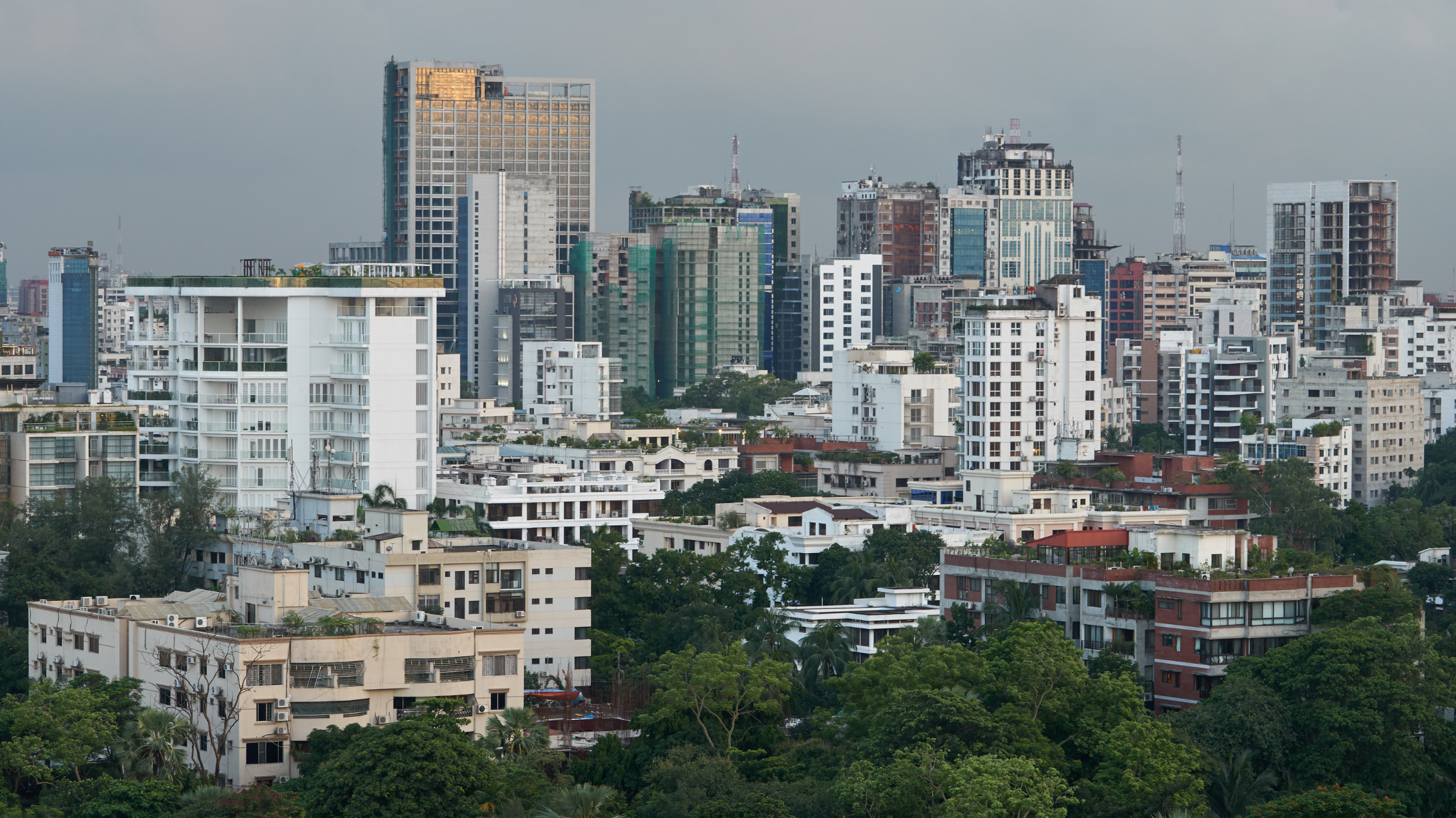 Cross Cultural Pastor