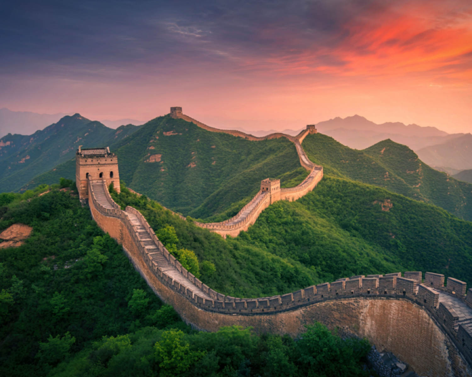 Praying for the Buddhist World on Lunar New Year