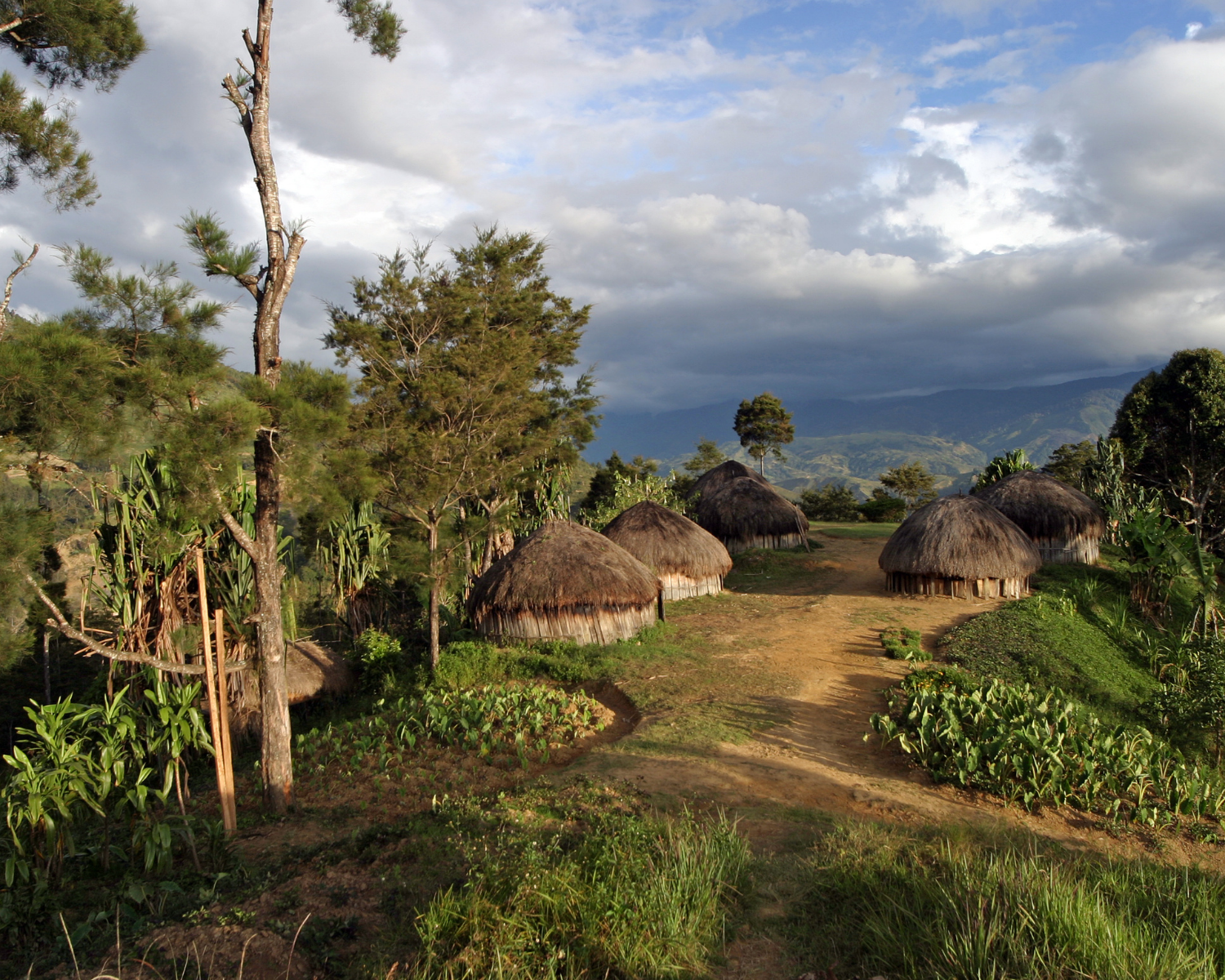 Breaking Spiritual Strongholds Among the Malinke