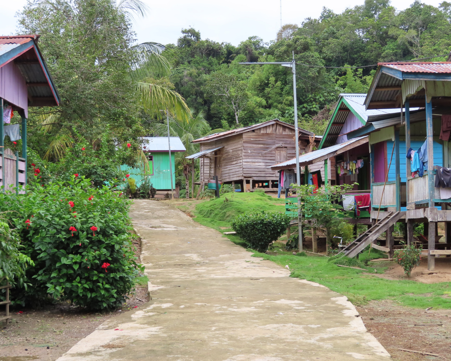 Opening Doors and Revealing Truth in SE Asia