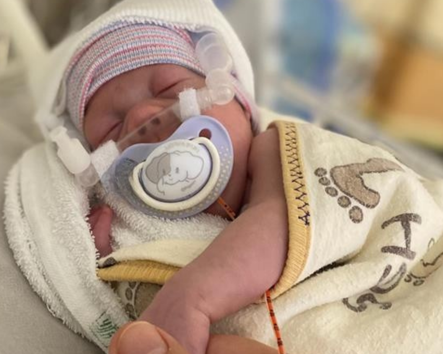 Believing for Judah’s Homecoming