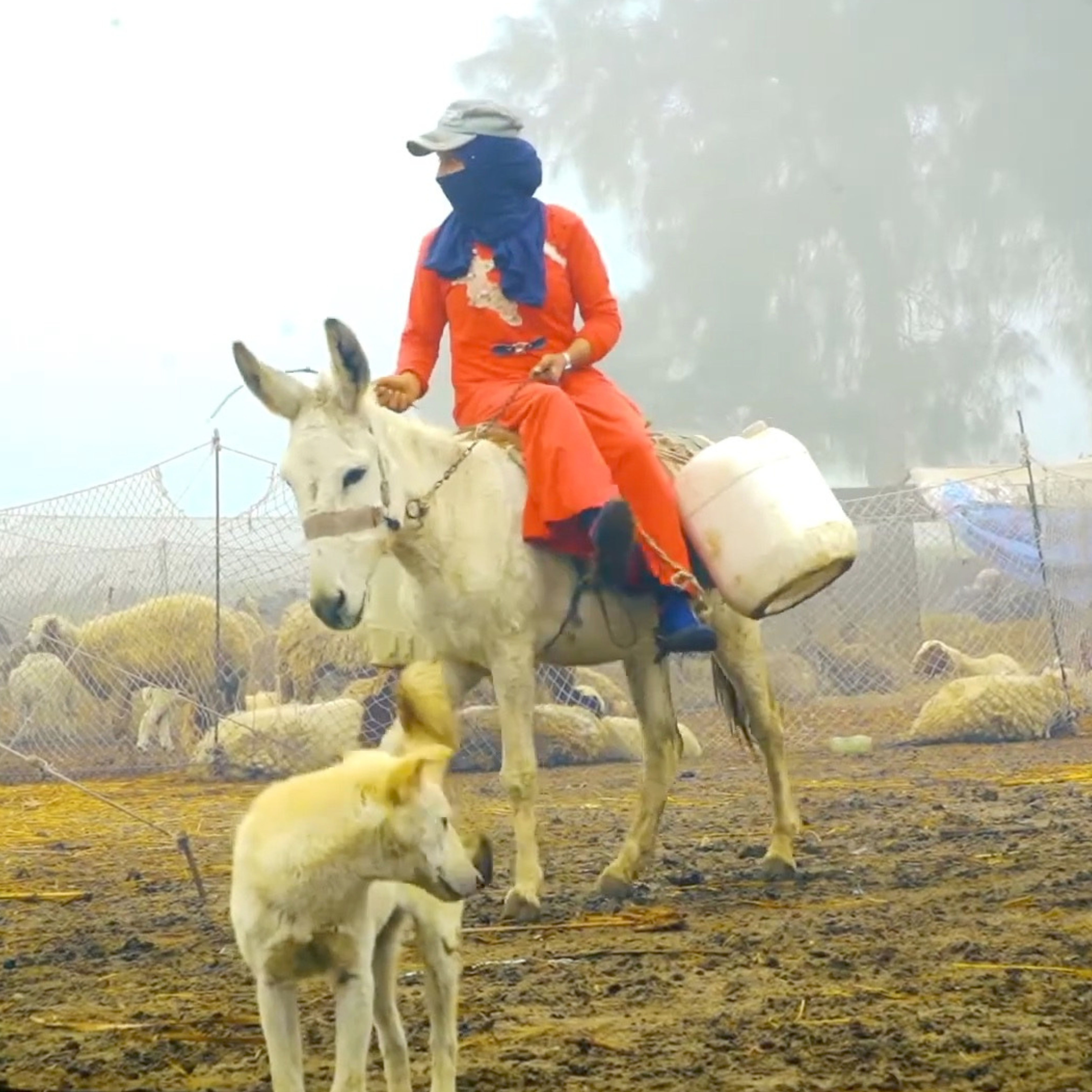 Never Forgotten: Praying for People in the Middle East