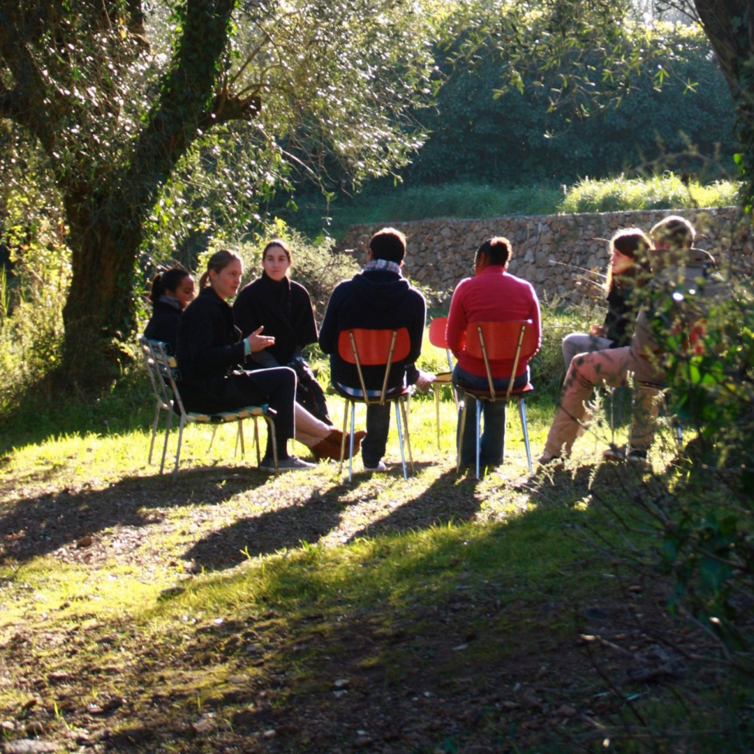men sitting on chairs outside surrounding a tree